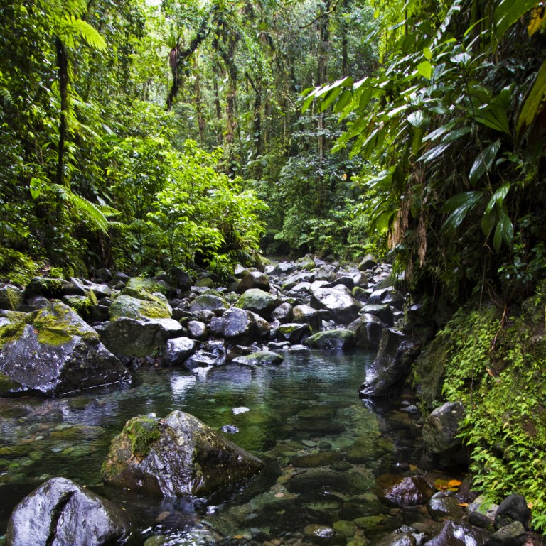 niveau_1 Découvrez le Canyoning en Guadeloupe - Aventure Nature