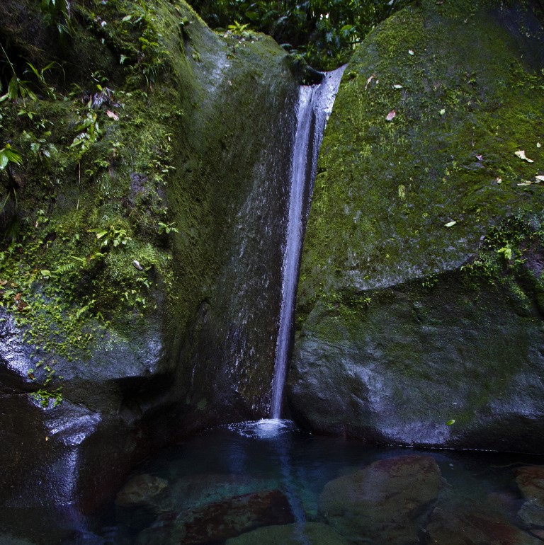 niveau_5 Découvrez le Canyoning en Guadeloupe - Aventure Nature