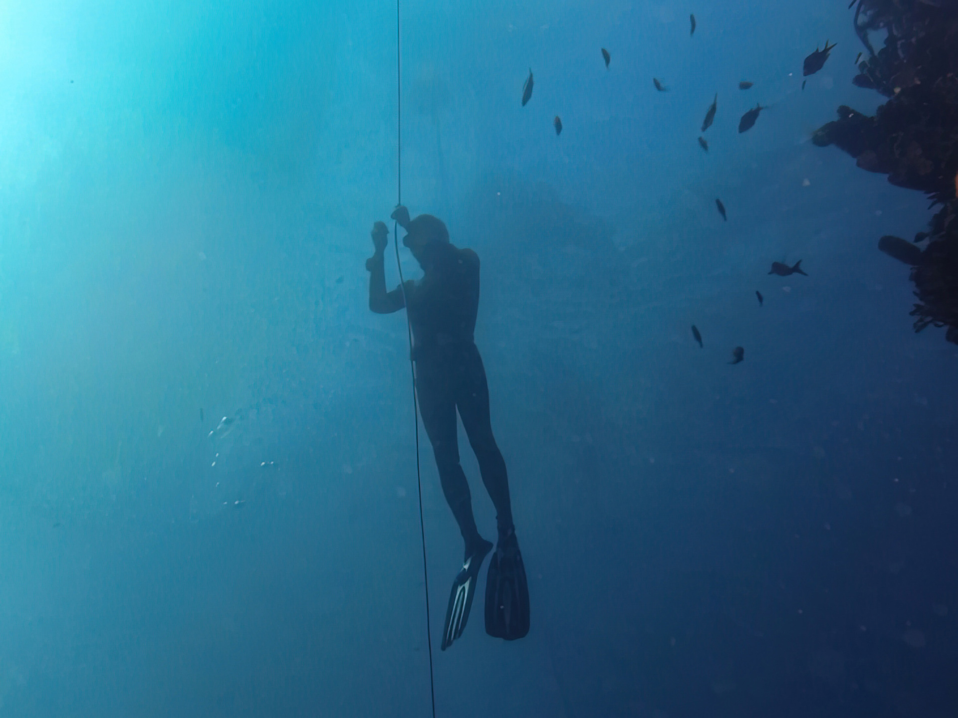 photo-apnee-1 Plongée en Guadeloupe, aventure sous-marine unique